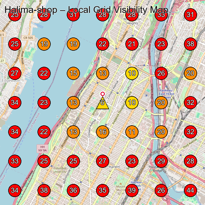 Halima-shop GeoGrid visibility map for Hair Salon in New York